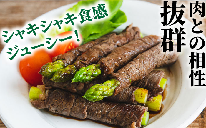 【3回定期便】【星のアスパラ】春・夏・秋 の グリーン アスパラガス 約1kg / アスパラ 野菜 / 南島原市 / ほしのYA [SEY013]