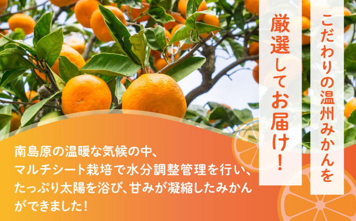 【2024年11月下旬～発送】【高糖度】 温州みかん 約10kg / みかん ミカン 蜜柑 長崎県産みかん 糖度 果物 くだもの フルーツ ふるーつ 旬 家庭用 10kg / 南島原市 / 南島原果物屋 [SCV012]