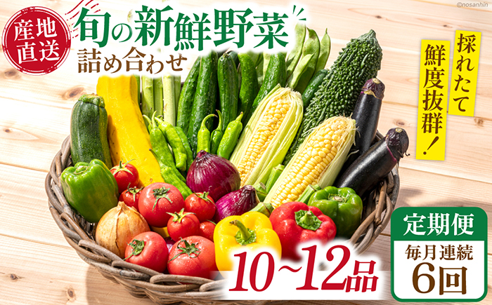 【6回定期便】毎月連続 新鮮 「旬の野菜・フルーツ」 詰め合わせ セット（10品〜12品）/ 野菜 定期便 やさい 定期便 野菜セット やさいセット 春野菜 夏野菜 秋野菜 冬野菜 旬新鮮 / 南島原市 /長崎県農産品流通合同会社 [SCB095]