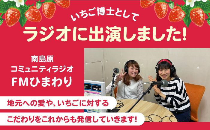 【2025年2月〜発送】【3回定期便】南島原産いちご「恋みのり」約260g×4P / いちご イチゴ 苺 いちご定期便 フルーツ ふるーつ 果物 くだもの 定期便 フルーツ定期便 / 南島原市 / あゆみfarm[SFF003]