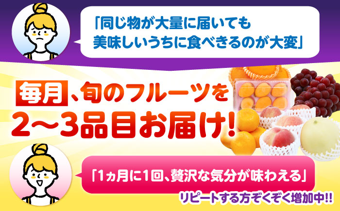 【12回定期便】＜2026年1月〜初回発送＞フルーツ定期便 旬の果物をお任せで2〜3品目お届け（2〜3品目×12回）季節の果物 詰め合わせ 果物 セット / 定期便 フルーツ 果物 春フルーツ 夏フルーツ 秋フルーツ 冬フルーツ /  南島原市 / 吉岡青果 [SCZ014]