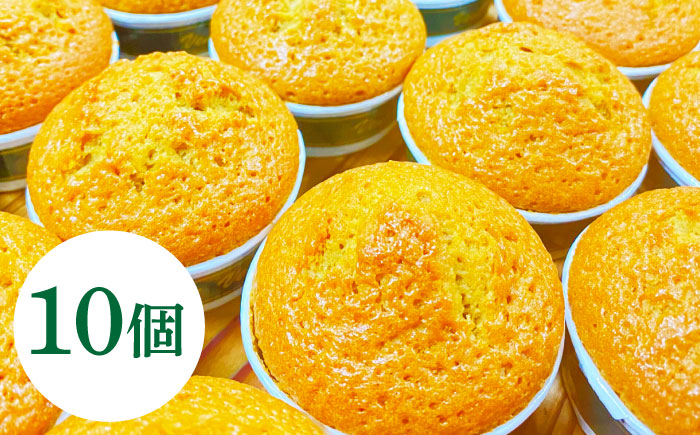 【地元産のオリーブ使用】 オリーブ の マドレーヌ 10個入り / 焼き菓子 焼菓子 スイーツ スペイン菓子 / 南島原市 / 吉田菓子店 [SCT047]