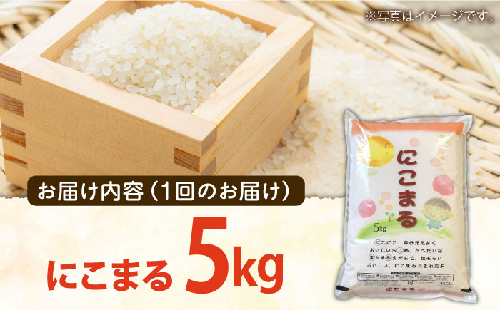 【12回定期便】 長崎県産 精米 にこまる 5kg 総計 60kg / 米 こめ コメ お米 ご飯 白米 精米 食品 / 南島原市 / 大松屋商店 [SDR004]