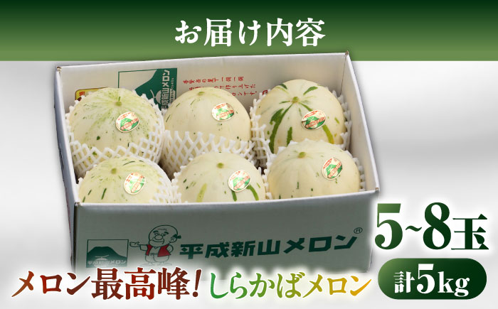 【2026年3月下旬〜発送】しらかばメロン 5玉〜8玉 約5kg / メロン めろん 果物 フルーツ / 南島原市 / うえだメロン園 [SAD009]