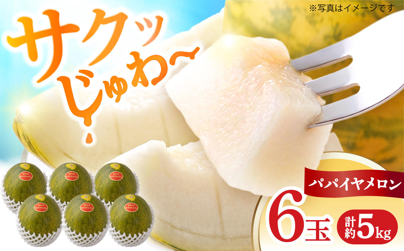 パパイヤメロン 6玉 （ 約 5kg ） / メロン めろん パパイヤメロン 果物 フルーツ / 南島原市/ 小田メロン園 [SGX001]