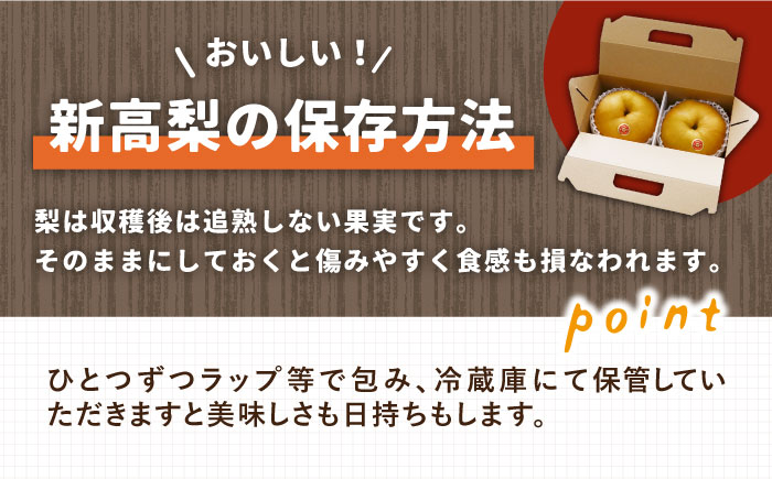 【2025年9月〜発送】【シャリッと食感がたまらない！】新高梨 2玉 / 梨 なし  南島原市 / ふるさと企画 [SBA007]