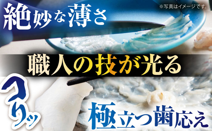 【新鮮！贅沢おつまみ】トラフグ の 刺し身 ＆ ヒラメ の 薄造り 大皿×各1枚 計250g  / ひらめ ヒラメ とらふぐ刺身 紅葉おろし トラフグ ふぐ フグ 河豚 刺し身 / 南島原市 / 株式会社 FUKUNOTANE [SFJ027]