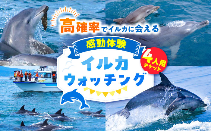 南島原 イルカウォッチング  4人用チケット / イルカ 観光 南島原市 / 南島原イルカウォッチング [SAE002]