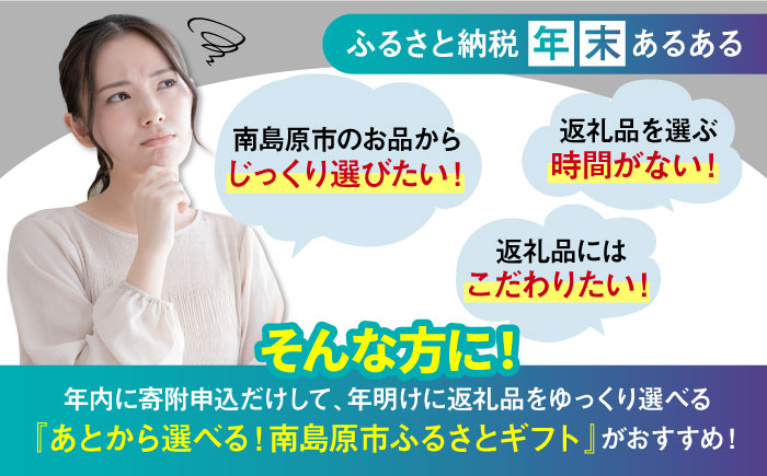 【あとから選べる】南島原市 ふるさとギフト 30万円分 / あとから寄附 あとからギフト 選べる寄附 30万円 300000円 / 南島原市 [SZX009]