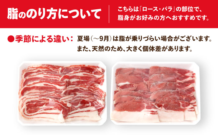 猪肉 スライス 1kg 雲仙いのしし / 肉 イノシシ ジビエ いのしし 焼肉 ぼたん鍋 切り落とし / 南島原市 / もりのめぐみ [SDB011]