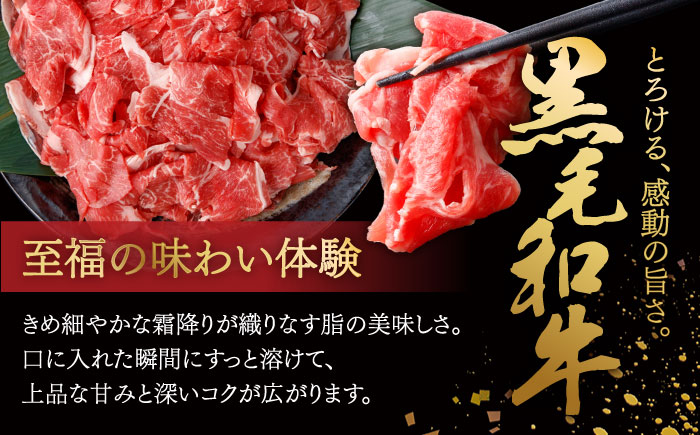 国産 黒毛和牛 熟成肉 切り落とし 500g / 小分け 国産牛 お肉 牛肉 切落し 冷凍 焼肉 すき焼き / 南島原市 / ふるさと企画 [SBA094]