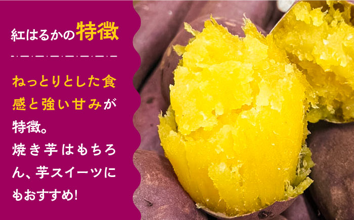 【数量限定】【ねっとり甘い熟成サツマイモ】冷凍焼き芋（紅はるか） 30本(S〜M) / さつまいも やき芋 冷凍 小分け 個包装 / 南島原市 / 池田海陸物産 [SEW003]