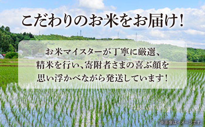 【南島原市産ヒノヒカリ】5kg / ひのひかり 米 お米 こめ コメ 精米 / 南島原市 / 林田米穀店 [SCO011]