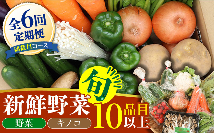 【6回定期便 偶数月コース】野菜定期便 キノコをセット 10品目以上  当日仕入れ当日発送！ / 定期便 野菜 春野菜 夏野菜 秋野菜 冬野菜 旬 きのこ キノコ 産地直送 / 南島原市 / 吉岡青果 [SCZ006]