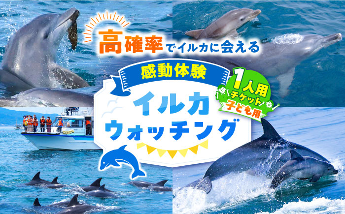 南島原 イルカウォッチング  子ども用 1人用 チケット / イルカ 観光 南島原市 / 南島原イルカウォッチング [SAE003]