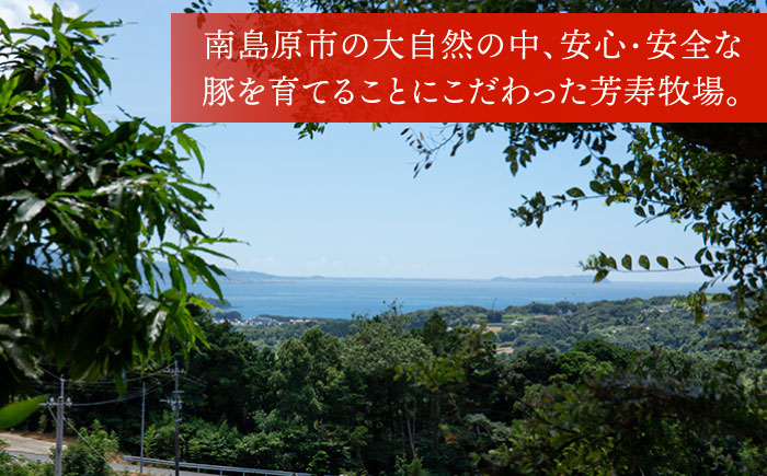 【6回定期便】SPF豚 やっちゃおいしか芳寿豚バラエティセット 計3000g / 豚肉 定期便 ほうじゅとん SPF豚 spfポーク 小分け バラ しゃぶしゃぶ / 南島原市 / 芳寿牧場 [SEI021]