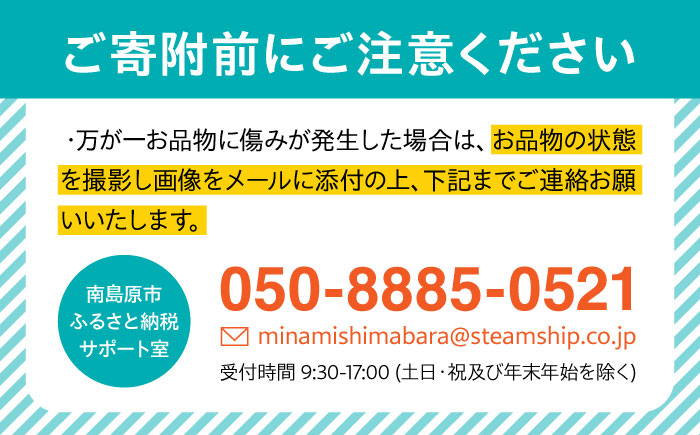 【2回定期便】 【2025年3・4月お届け】【数量限定】いちご「ゆめのか」 約260g × 4P / イチゴ 苺 フルーツ 果物 産地直送 朝摘み / 南島原市 / O' Berry! [SGA003]