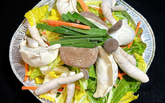 【簡単調理】本格 水餃子鍋　1食　/ 水餃子 餃子 鍋 なべ / 南島原市 / はなぶさ [SCN164]