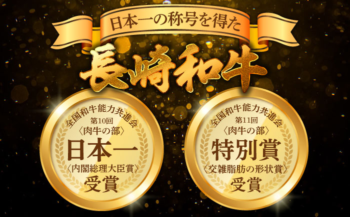 【A5ランク】長崎和牛 切り落とし 500g / 和牛 国産 牛肉 にく きりおとし 真空 / 南島原市 / ミカド観光センター [SEC003]