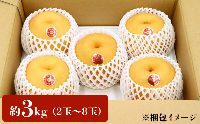 【2026年10月〜発送】【あなたを満たす梨の王様】新高梨 約3kg 特大級 梨専門 八木農園 / 梨 なし ナシ / 南島原市 / 贅沢宝庫 [SDZ031]