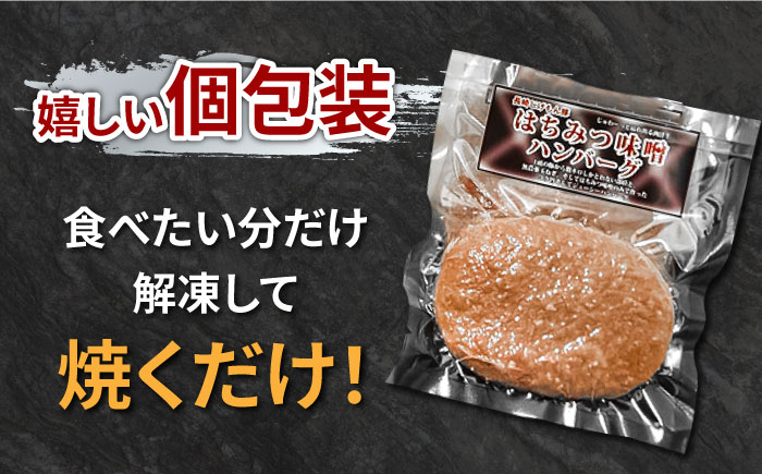 【長崎じげもん豚】はちみつ味噌 ハンバーグ（10個）/  はんばーぐ 小分け 冷凍  / 南島原市 / 溝田精肉店 [SBP001]