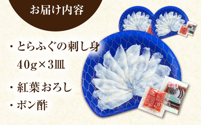 【新鮮！贅沢おつまみ】ふぐ 刺身 ふぐ刺し トラフグのてっさ（小皿/40g）×3枚/ とらふぐ 刺身 紅葉おろし トラフグ ふぐ フグ 河豚 刺し身 ふぐ刺し / 南島原市 / 株式会社 FUKUNOTANE [SFJ035]