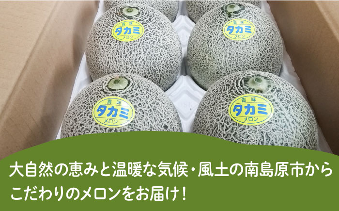 【2025年5月〜発送】【さわやかな味わい！】 タカミメロン 約4.5kg / メロン 南島原市 / 南島原果物屋 [SCV013]