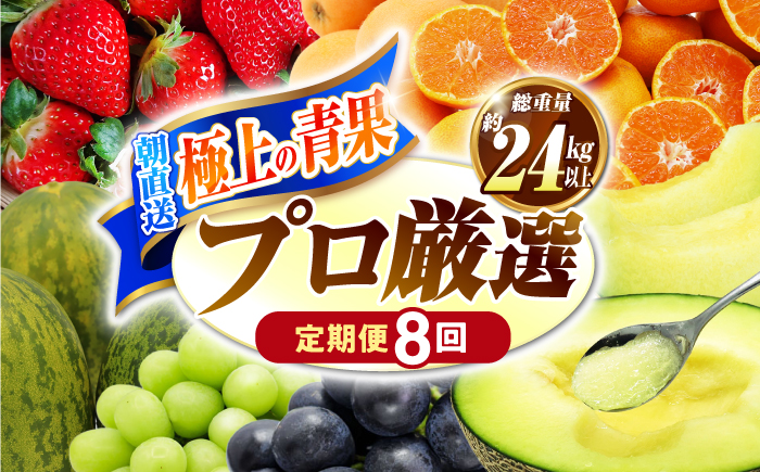 【8回コース】果物屋が選ぶ旬のフルーツ定期便 いちご メロン びわ みかん 梨 柿 など / 南島原市 / 贅沢宝庫 [SDZ060]