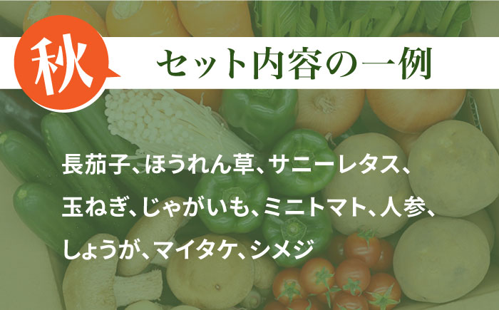 【6回定期便 偶数月コース】野菜定期便 キノコをセット 10品目以上  当日仕入れ当日発送！ / 定期便 野菜 春野菜 夏野菜 秋野菜 冬野菜 旬 きのこ キノコ 産地直送 / 南島原市 / 吉岡青果 [SCZ006]