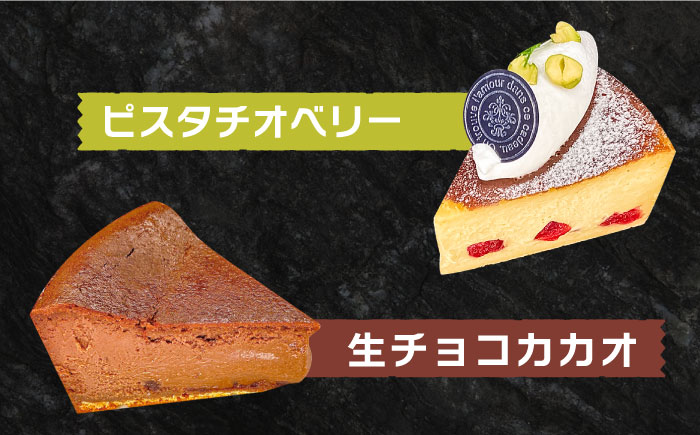 よしだのバスクチーズ 食べ比べセット6種 / ケーキ タルトケーキ スイーツ デザート 洋菓子 スペイン菓子職人が作る / 南島原市 / 吉田菓子店 [SCT028]