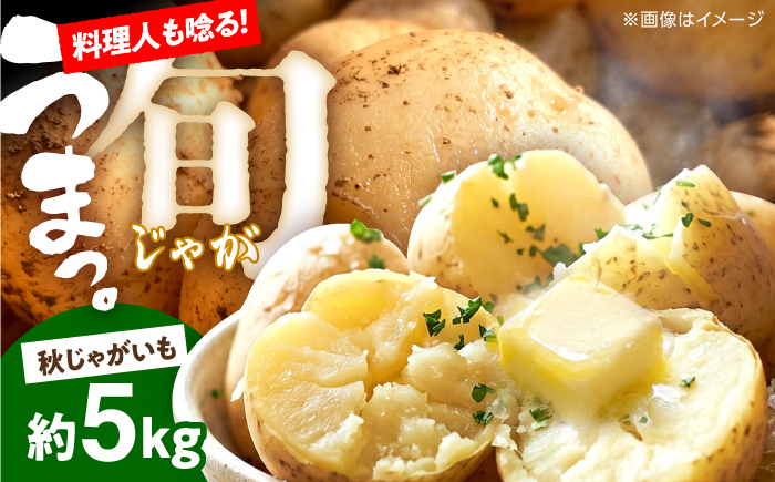 じゃがいも 約5kg 馬鈴薯 秋じゃが / ジャガイモ ばれいしょ 野菜 やさい 芋 / 南島原市 / 株式会社松尾青果 [SGU003]