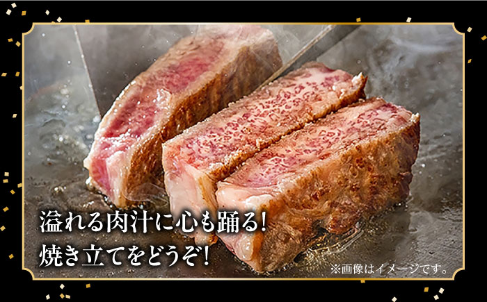 【内閣総理大臣賞受賞】長崎和牛 サーロインブロック 約3kg / 冷凍 ステーキ肉 サーロインステーキ / 南島原市 / 島原雲仙農業協同組合 [SES001]