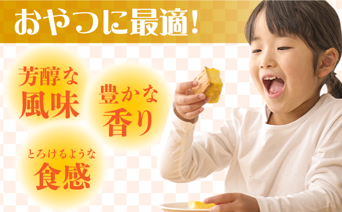 【おいしさがギュッと詰まった】訳あり カステラ 切り落とし 計3.75kg（250g×15パック） / かすてら 切り落としカステラ 長崎カステラ お菓子 スイーツ ギフト/ 南島原市 / ミカド観光センター [SBF010]
