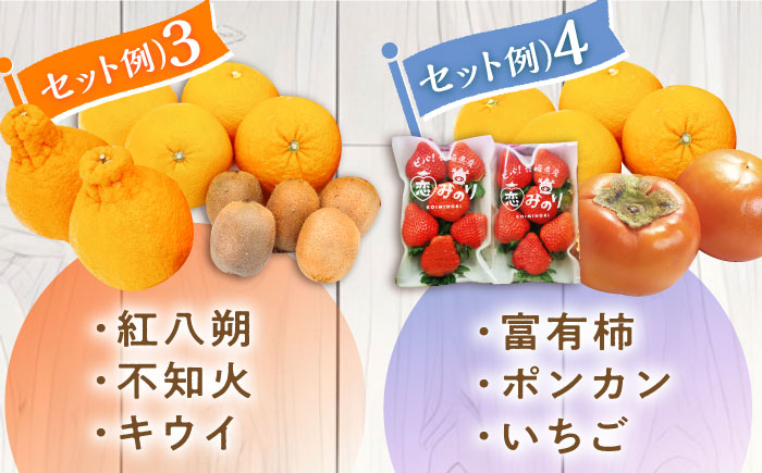 【6回定期便 隔月】フルーツ定期便 旬の果物 詰め合わせ 季節の果物をお任せで2〜3品目お届け（2〜3品目×6回）/ 定期便 フルーツ 果物 春フルーツ 夏フルーツ 秋フルーツ 冬フルーツ / 南島原市 / 吉岡青果 [SCZ016]