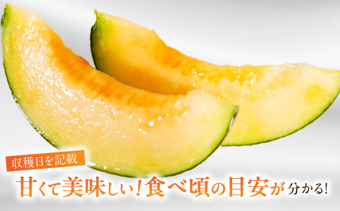 【2026年7月下旬〜発送】アールスメロン 2玉 約3.2kg / メロン めろん 果物 フルーツ / 南島原市 / うえだメロン園 [SAD011]