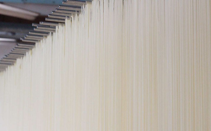 【4代目 麺匠 高橋優】 極細 そうめん 50g×16束 800g  / 南島原市 / 高橋正製麺所 [SCG001]