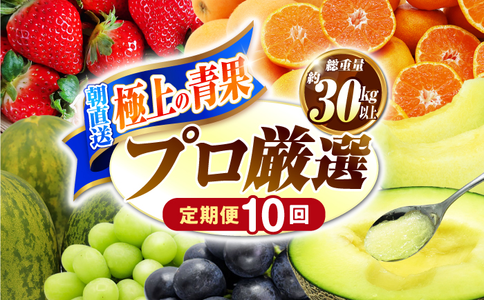 【10回コース】果物屋が選ぶ旬のフルーツ定期便 いちご メロン びわ みかん 梨 柿 など / 南島原市 / 贅沢宝庫 [SDZ062]