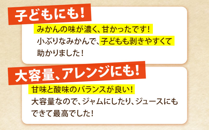 【2026年10月下旬～発送】温州みかん 10kg / みかん ミカン 蜜柑 フルーツ 果物 / 南島原市 / 蜜柑屋まつお [SCQ002]
