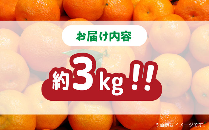 【高糖度】温州みかん 約3kg / みかん ミカン 蜜柑 果物 フルーツ / 南島原市 / 南島原果物屋 [SCV021]