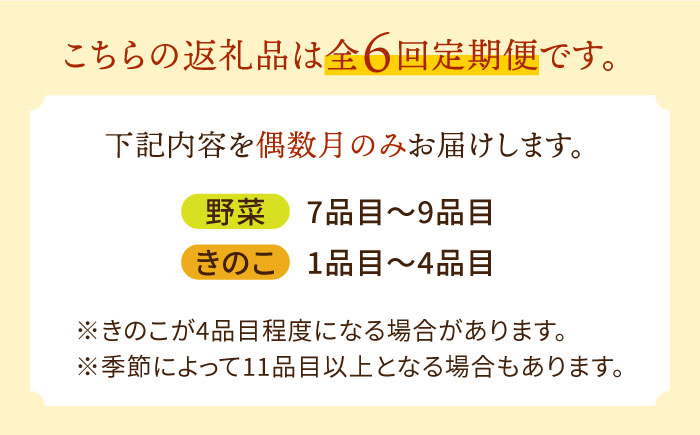 【6回定期便 偶数月コース】野菜定期便 キノコをセット 10品目以上  当日仕入れ当日発送！ / 定期便 野菜 春野菜 夏野菜 秋野菜 冬野菜 旬 きのこ キノコ 産地直送 / 南島原市 / 吉岡青果 [SCZ006]