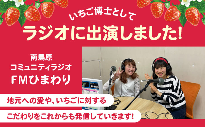 【2027年2月 初回発送】【3回定期便】南島原産 いちご 「恋みのり」約250g×4P / イチゴ 苺 フルーツ 果物 / 南島原市 / あゆみfarm [SFF003]