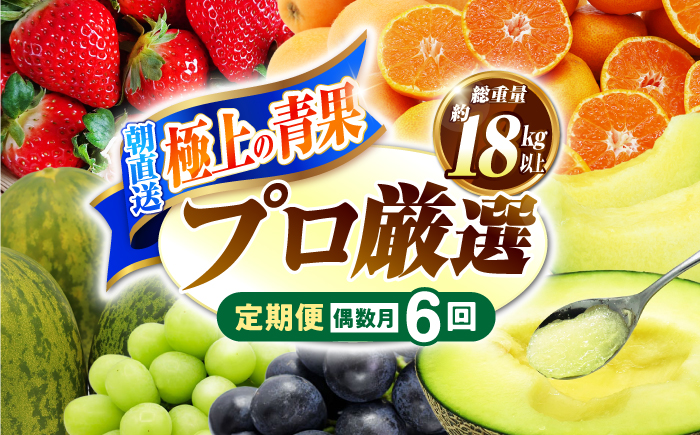 フルーツ定期便【6回定期便 偶数月コース】旬のフルーツをセット / ハウスびわ メロン ぶどう 巨峰 みかん など / 定期便 旬 フルーツ 果物 春フルーツ 夏フルーツ 秋フルーツ 冬フルーツ 果物定期便 フルーツ定期便 果物定期 フルーツ定期 人気 人気果物 人気フルーツ / 南島原市 / 贅沢宝庫 [SDZ022]