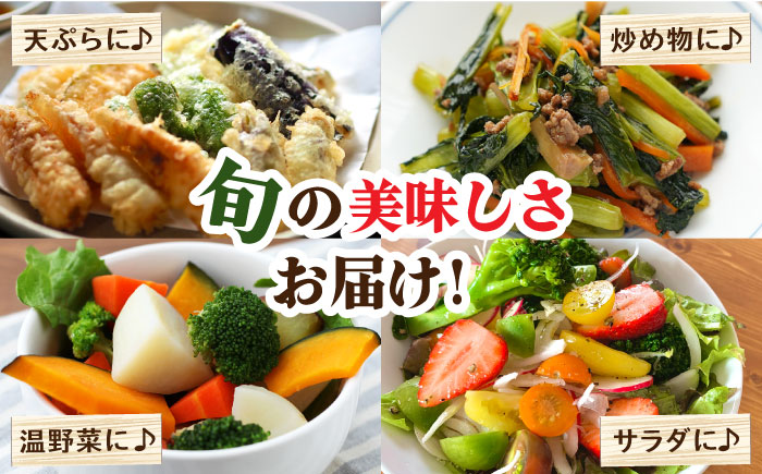 【12回定期便】豪華！野菜 セット 15品目以上 毎月コース 野菜定期便 / 野菜 定期便 やさい 定期便 野菜セット やさいセット 春野菜 夏野菜 秋野菜 冬野菜 旬 / 南島原市 / 吉岡青果 [SCZ019]