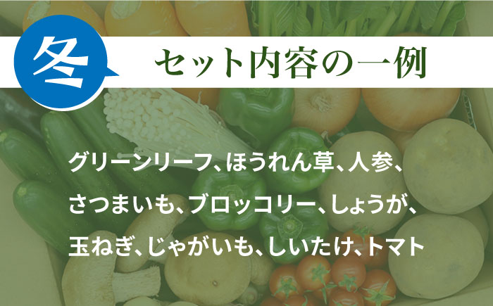 【12回定期便】野菜定期便 キノコをセット「12回（毎月）」お届け 10品目以上 詰め合わせ 12回  / 定期便 野菜 やさい 春野菜 夏野菜 秋野菜 冬野菜 旬 / 南島原市 / 吉岡青果 [SCZ007]