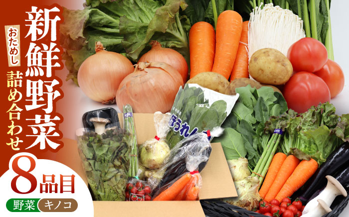 お試し野菜セット 8品目 詰め合わせ / 野菜 やさい ヤサイ 旬 新鮮 / 南島原市 / 吉岡青果 [SCZ027]