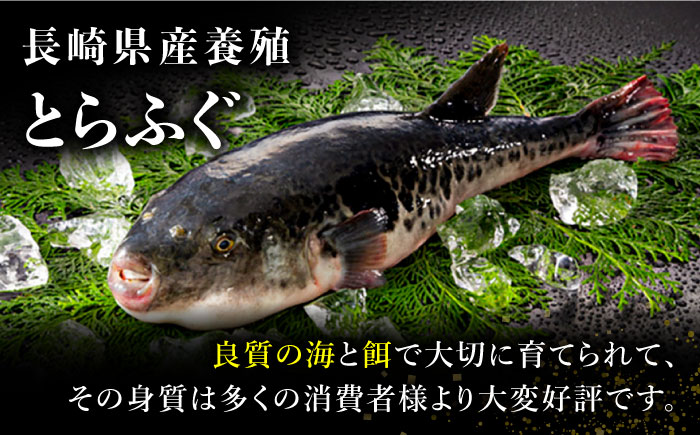 【2024年9月〜発送】長崎県産 とらふぐ 刺身 3人前×2 Wセット（2箱）/ 6人前/ ふぐ ふぐ刺し南島原市 / 大和庵 [SCJ015]