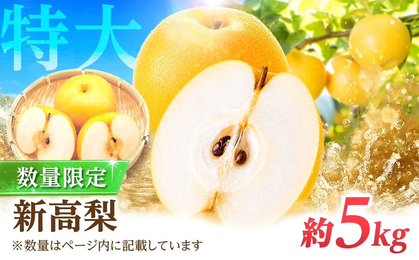 【9～10月発送】【梨の王様】こだわり 新高梨 約5kg /  梨 ナシ フルーツ 果物 旬 先行予約 産地直送 家庭用 国産 / 南島原市 / 株式会社マルハチ [SFG002]