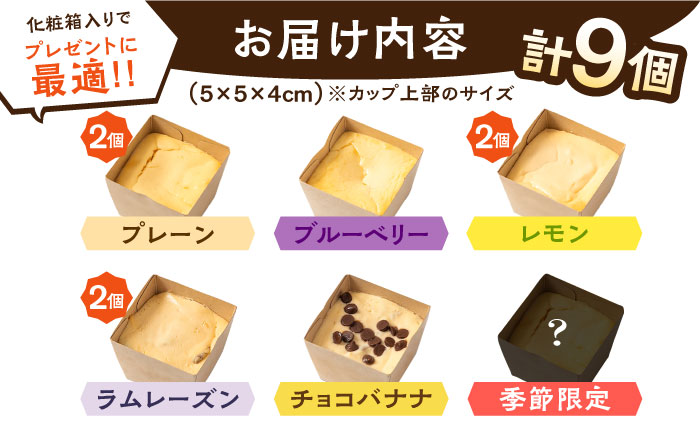 【種類豊富な詰め合わせスイーツ】チーズケーキ 6種 9個セット / ちーずけーき おしゃれ お菓子 贈り物 おやつ ギフト お取り寄せ 人気 誕生日 個包装 / 南島原市 / Hand Made Cake WISSH [SCF002]