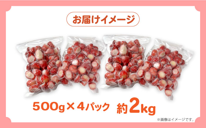 【2026年3月〜発送】【訳あり】【数量限定】冷凍 カットいちご「恋みのり」 加工用 約500g×4P / 冷凍 いちご イチゴ 苺 フルーツ 冷凍フルーツ ジャム / 南島原市 / あゆみfarm [SFF005]