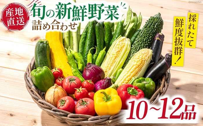 新鮮 「旬の野菜・フルーツ」 詰め合わせ セット（10品〜12品）/ 野菜 定期便 やさい 定期便 野菜セット やさいセット 春野菜 夏野菜 秋野菜 冬野菜 旬新鮮 / 南島原市 /長崎県農産品流通合同会社 [SCB094]